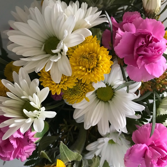 Meet your Posher, Pamela - Picture 4 of 5